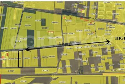 Teren 10.000 mp Constanta - Valu Traian - 5