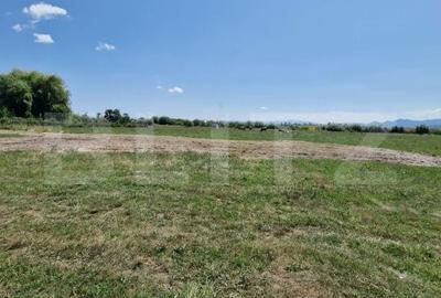 Teren de 6300 mp, în Mănești - 2