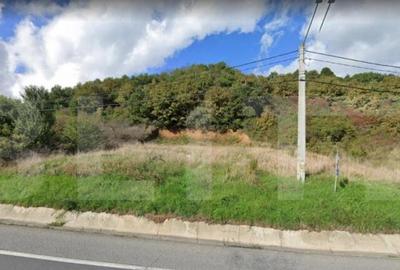 Teren de 800 mp, în Viișoara - 3