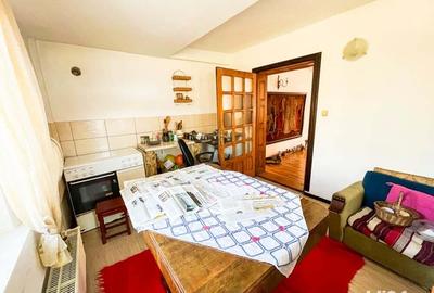 Vila Trivale Pitesti - 3