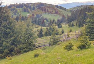 O fereastra catre cer - teren de vis in Fundata, la poalele Bucegilor - 17