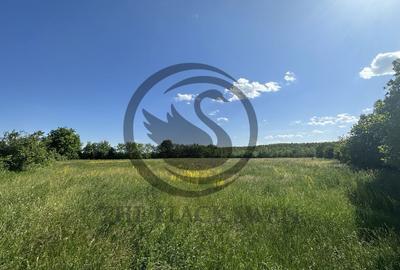 Teren Vanzare 11.000 MP Ghirdoveni | Comision 0% - 11