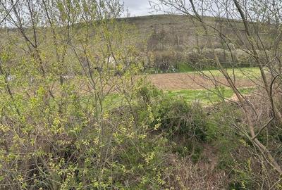 Spațiu comercial, în Peștișu Mare - 2