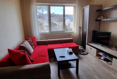 Apartament cu 2 camere în Grigorescu - 4