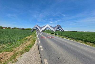 Teren agricol intravilan de 33211 mp, în Tunari - 3