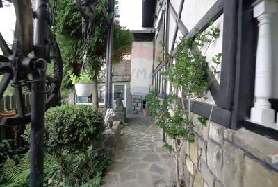 Casa cu poveste in Zamora, Busteni - 22