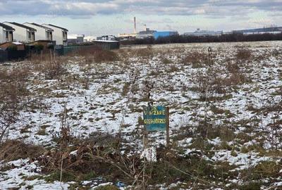 Vand 1HA teren intrav ptr case zona Balcescu langa cartierul RIVIERA, utilitati, sosea - 7