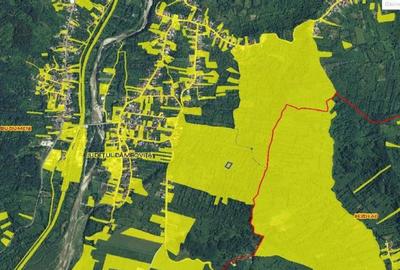 Teren Buciumeni, ID: R2431873 - 5