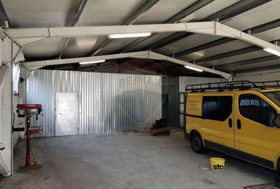 Hala Industriala, Parcul Industrial Bors 2, De Vanzare - 17