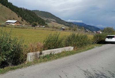 Teren in Bucovina zona Dorna Arini - 4