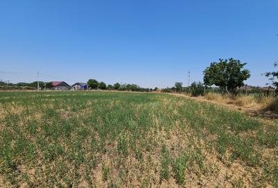 Teren 5.465 mp intravilan și front stradal – Topraisar, Constanța Comision Zero - 24