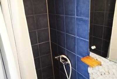 Garsoniera Cismigiu - 4