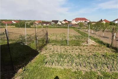 Casă cu Teren 17 Mp în Ardud - 2