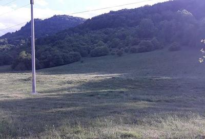 Teren de 10000 mp, în Cheia - 2