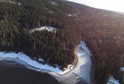 Teren de 10146 mp, în Giurcuța de Sus - 7