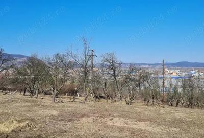 Vand teren intravilan cu panorama - 2