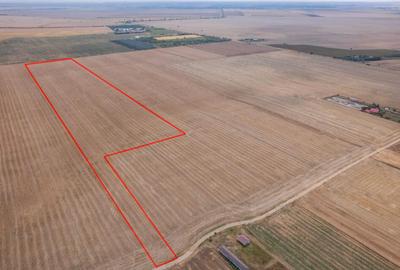 FRUMUSANI - PASAREA, TEREN 14420 MP, FRONT 40 M! - 22