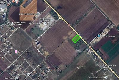 Teren de 8000 mp, în Torontalului
