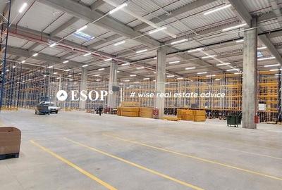 Spațiu comercial, de 5,300 mp, în Chitila - 3