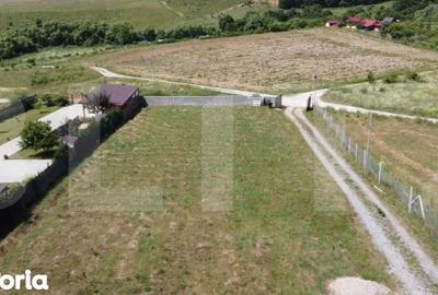 Teren de 1000 mp, în Ciurila