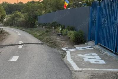 Teren de 1800 mp, în Piteasca - 8