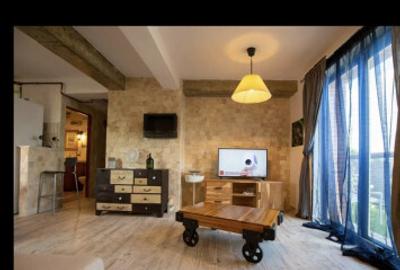 Brancoveanu dumbraveni vila studio dubla - 1