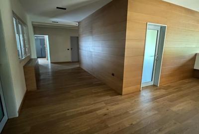 Ansamblu de hale, zona ieșire spre Izvoare. Preț 5 Eur/mp - 7