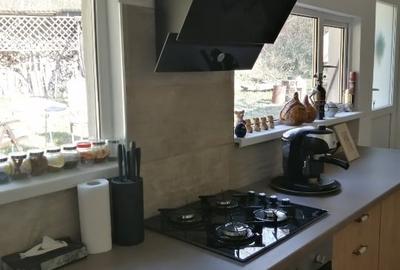 Casă individuală cu 2 camere cu Teren 600 Mp în Conop - 4