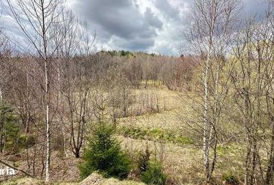 Teren de 2877 mp, în Brebu - 8