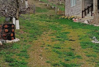 Casă cu Teren 2800 Mp în Boțești - 8