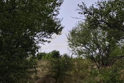 Teren intravilan potential investitie, str Solstitiului, Popesti Leordeni - 6