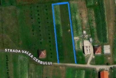 Teren de 3490 mp, în Exterior Vest - 3