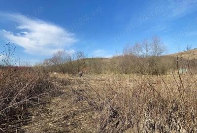 Teren de 5400 mp, în Cămărașu - 5