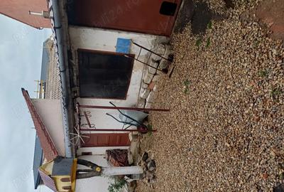 Proprietar vand casa spa?ioasa in Micalaca Arad - 8