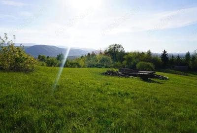 Teren 38,592mp Sighetu Marmatiei / Strada Mocani?ei - 5