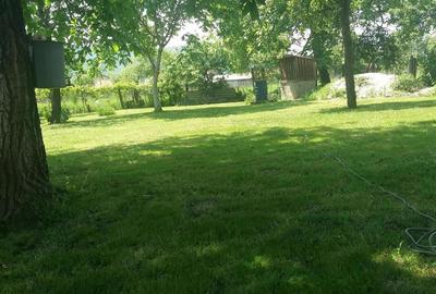 Casă cu 3 camere cu Teren 3222 Mp în Bretea Mureșană - 6