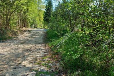 Teren intravilan 1300 mp de vanzare pe Valea Avrigului in zona Mlaci - 1