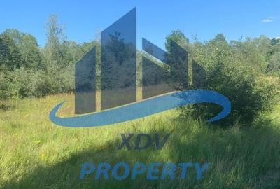 Teren in zona turistica Porumbacu de Sus - 4