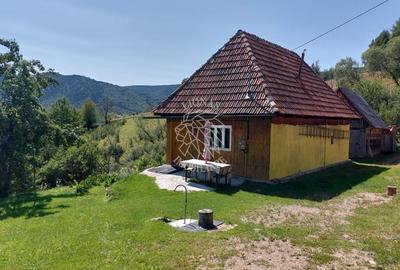 Teren intravilan zona montana investiție Rachitele Cluj 4.330 mp - 2