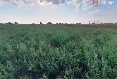 Teren Construcții intravilan de 622 mp, în Chișoda - 12