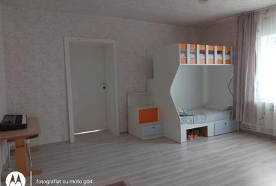 Casă individuală cu 2 camere cu Teren 1285 Mp în Șagu - 1