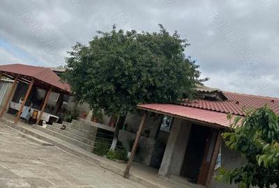 Vand casa in Ceamurlia de sus - 4