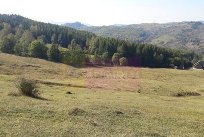 Teren intravilan de vanzare in Breaza (dezvoltare imobili... - 5