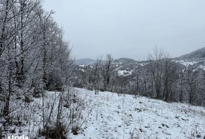 Teren de 3824 mp, în Provița de Jos - 9