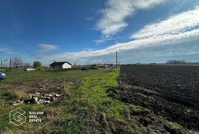 Oportunitate deosebita! Teren 4000 mp, intravilan, Sanpaul - 3