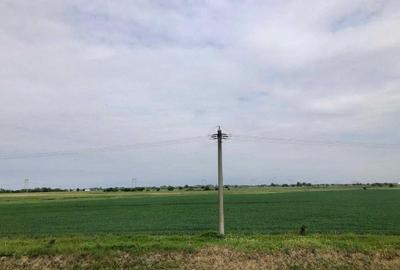 Teren industrial, posibil constructie hale, Bolintin-Vale - 3