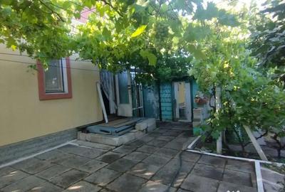 Casă cu 2 camere cu Teren 770 Mp în Palazu Mare - 4