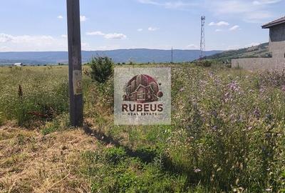 Teren de 12003 mp, în Schela - 7