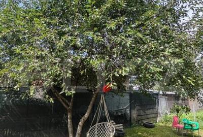 Casa de vanzare in Gura Humorului + teren generos - 13