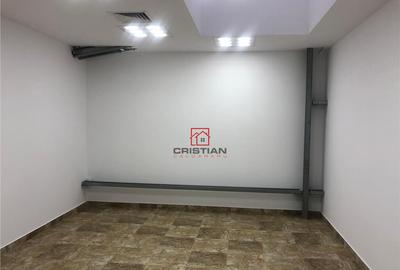 Depozit/hala/spatiu industrial Theodor Pallady - Drumul Int - 2